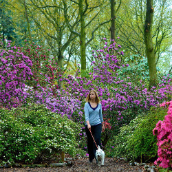 Woodland Walks Woodland Walks