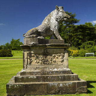 Boar Boar